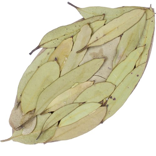 Cardboard Leaves - Brown - Pack of 20
