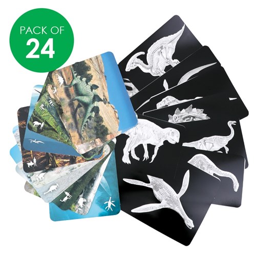 Dinosaur X-Rays - Pack of 24