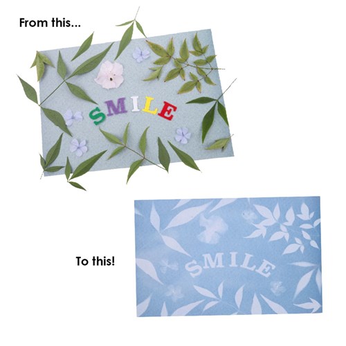 Sun Sensitive Paper Kit - Pack of 10 A4 Sheets