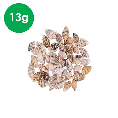Conch Shell Beads - 13g Pack
