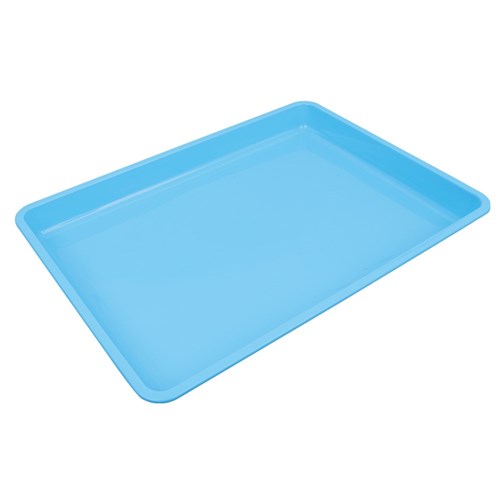 Art Tray - Large - Each