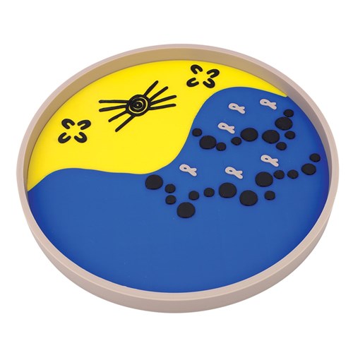 Indigenous Fish Trap Sensory Tray
