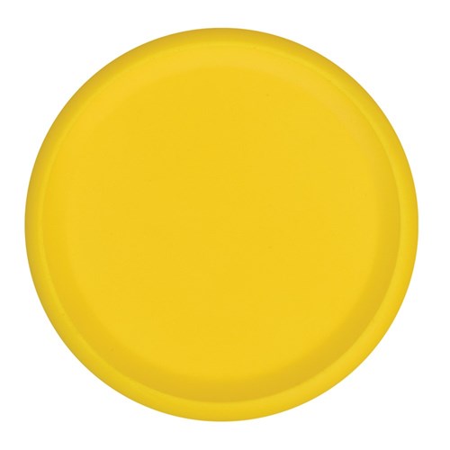 Foam Frisbee - Each
