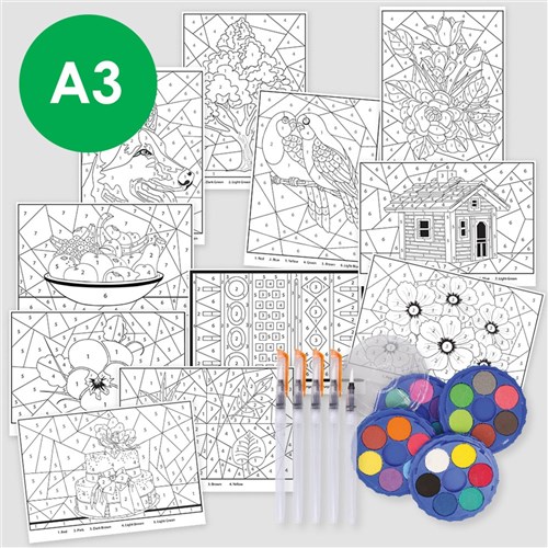 Watercolour Paint By Numbers Kit - A3