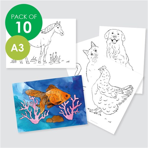 Colouring Sheets - Animals - A3 - Pack of 10