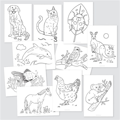 Colouring Sheets - Animals - A3 - Pack of 10
