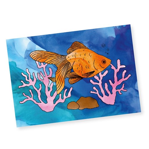 Colouring Sheets - Animals - A3 - Pack of 10