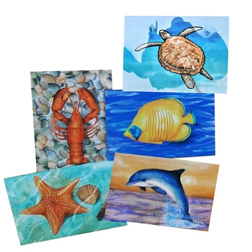 Aqua Paint - Ocean Life - Pack of 5