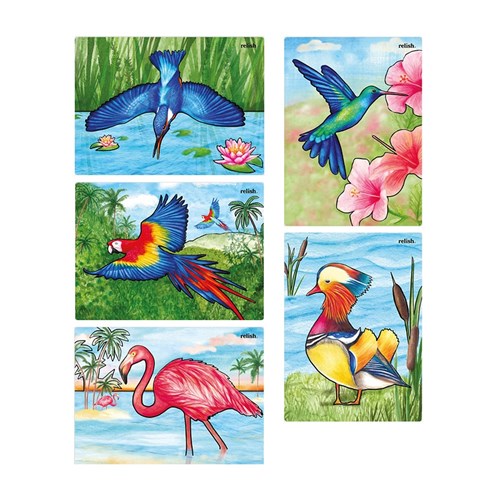 Aqua Paint - Magnificent Birds - Pack of 5